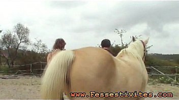 Pony-girl et chevaux